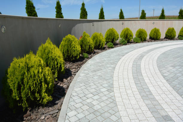 Reasons to Select Us for Your Driveway Paving Requirements in Winter Haven, FL